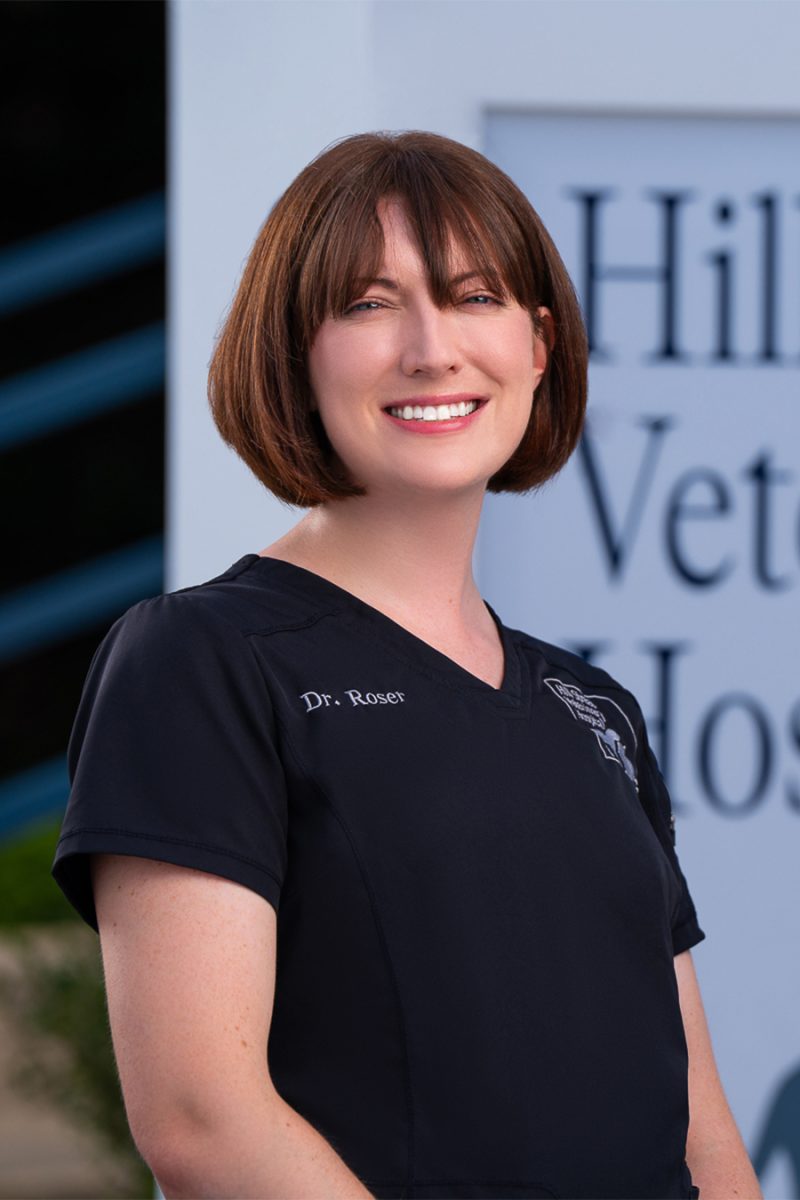Team - Vet In York | Hill Street Veterinary Hospital