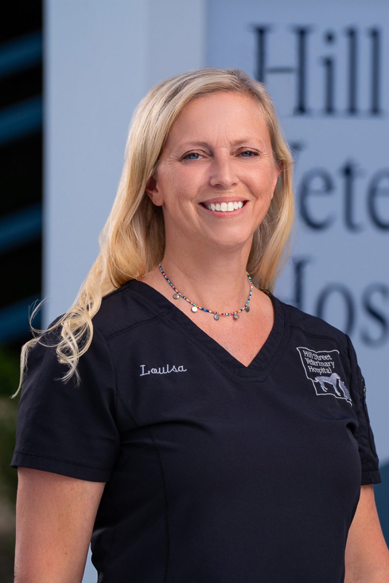 Team - Vet In York | Hill Street Veterinary Hospital